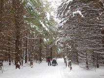Holidays 2012 063.jpg