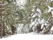 Holidays 2012 065.jpg