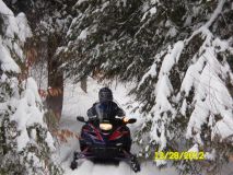 Toms Camera 2012 504.jpg