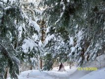 Snow_Weekend_09_065.jpg